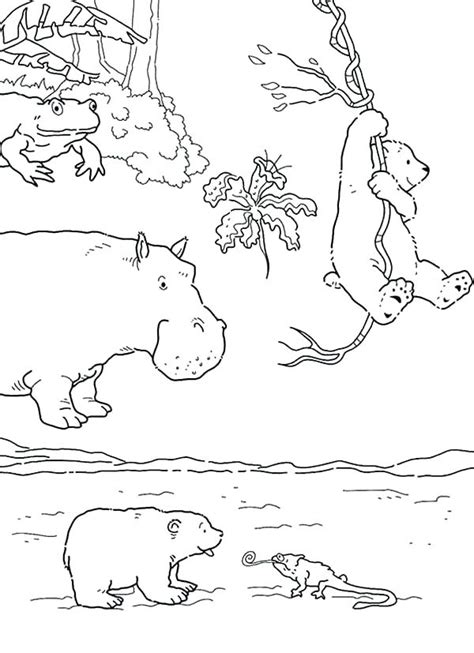 arctic animals coloring pages  preschoolers  getcoloringscom