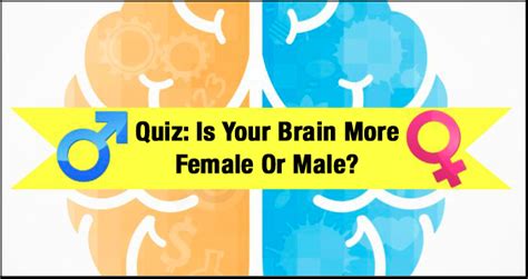 what sex is your brain quiz busty milf sex