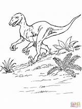 Deinonychus Jurassic Dinosaur Dinosaurier Velociraptor Ausmalbild Park Raptor Dinos Dinosaurs Spinosaurus Zeichnen sketch template