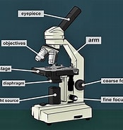 Risultato immagine per microscopio a cosa serve. Dimensioni: 174 x 185. Fonte: okdiario.com
