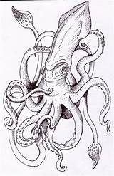 Calamar Octopus Squid Pulpo Kracken Kraken Tatuaje Tatto Pulpos Dessin Really Ilustracion Woodcutting Tinta Pieuvre Bocetos Savoir sketch template