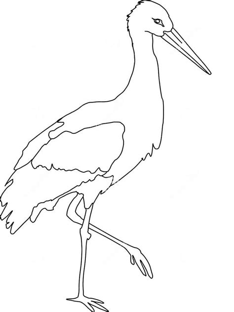 stork coloring pages  getcoloringscom  printable colorings