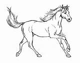 Cavalli Cavallo Corsa sketch template