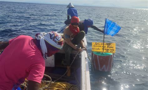 teknik menangkap gurita lestari yayasan konservasi laut ykl indonesia