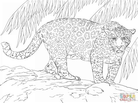 jacksonville jaguars coloring pages  getdrawings