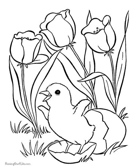 spring flower coloring pages coloring home