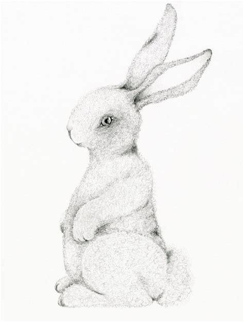 bunny rabbit art print drawing   bunny rabbit easter decor