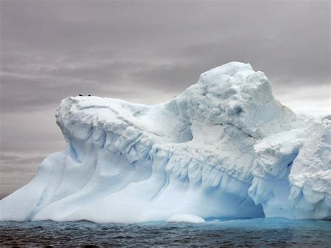 Global Sea Levels Could Rise Up To Five Metres If Certain Antarctic