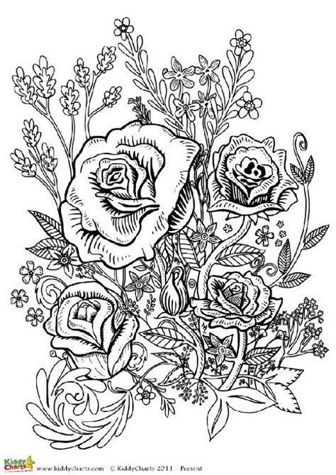 flower coloring pages  adults