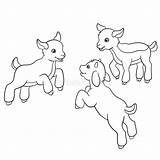 Coloring Animals Pages Farm Little Cute Goat Goatling Father Looks His Illustration Sheep sketch template