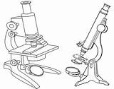 Microscope Teacher Clipart Coloring Drawing Students Pages Clip Coloringpagesfortoddlers Drawings Choose Board sketch template