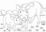 Warthogs Member sketch template
