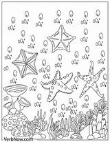 Starfish Fish sketch template