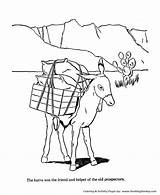 Coloring Pages Donkey Farm Animal Burro Animals Honkingdonkey Donkeys Activity Visit sketch template