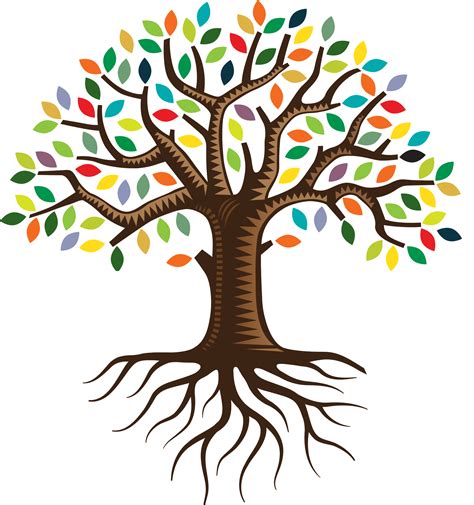 root qc family tree logo clip art transparent tree  life png image