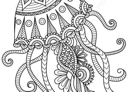 jellyfish coloring pages  adults coloring  drawing