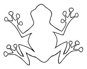 frog outline party ideas pinterest outlines frogs  template