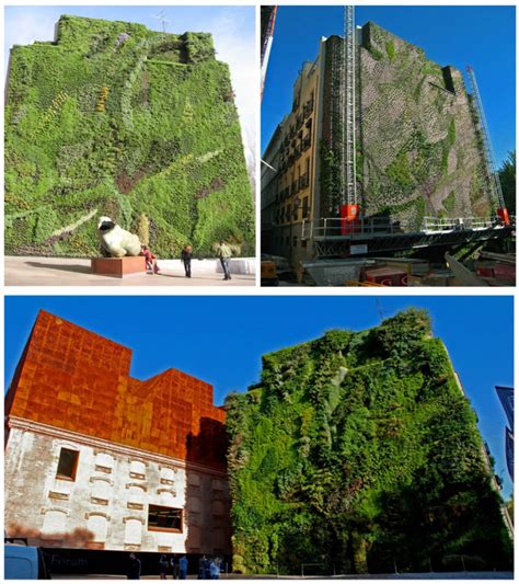 jardines verticales terrazas jardines urbanos