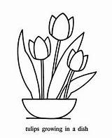 Coloring Tulip Flowers Pages Flower Tulips Simple Pointillism Printable Basic Easy Print Large Colouring Traceable Kids Color Friends May Patterns sketch template