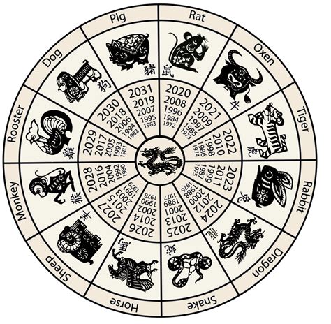 animals   chinese zodiac  year   dragon