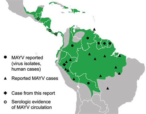 mayaro fever   viral disease   radar amandala newspaper