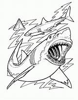 Coloring Shark Pages Printable Print Sharks Hungry Evolution Megalodon Jaws Adults Kids Scary Color Cartoon Drawing Tiger Bestcoloringpagesforkids Great Life sketch template