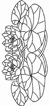 Nuferi Colorat Flori P19 Desene Planse Lilies Primiiani Vizite Voturi Acoloringbook sketch template