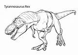 Rex Spinosaurus sketch template