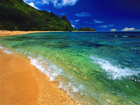 hawaii beach  syndrome prenatal testing