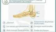 Image result for espolón. Size: 180 x 104. Source: fisioterapia-online.com