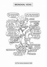 Respiratory Veins Comical Anatomist sketch template