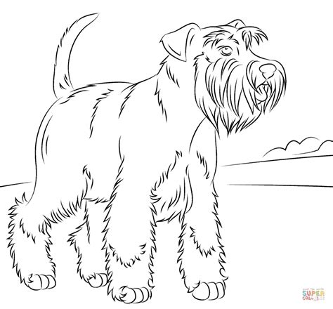 miniature schnauzer dog coloring page dog coloring book miniature