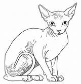 Sphynx Hairless Cat Clipart Drawing Base Drawings Vampire Getdrawings 274px 74kb Clipground sketch template