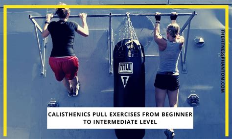 calisthenics pull workout   exercises   time