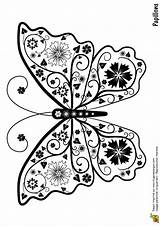 Papillons Papillon Imprimer Hugolescargot Adultes Adulte Hibiscus Animaux Insectes Coloriages Représentant Mandalas Difficile Fou Dentelle Depuis sketch template
