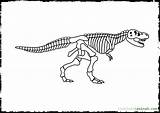 Rex Skeleton Coloring Dinosaur Kids Pages sketch template