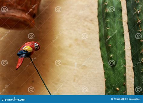 garden decoration  miniature parrot stock photo image  animal bird