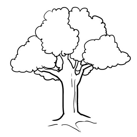 tree nature  printable coloring pages