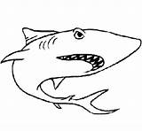 Shark Coloring Coloringcrew Animals sketch template
