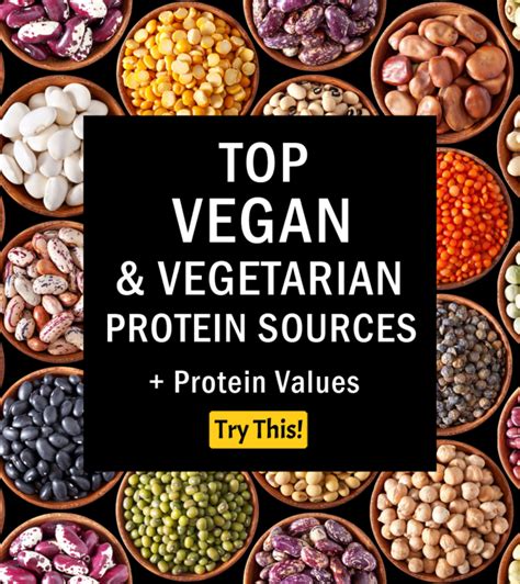 vegan protein top vegan vegetarian protein sources