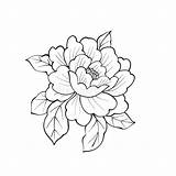 Coloring Peony Flowers Illustrations 2696 Vectors Clipart Flower Pdf  Pages Crafts Printable sketch template