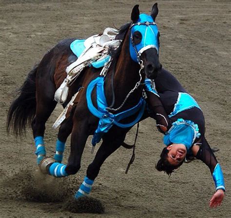 trick riding horse crazy horse love  beautiful animals beautiful horses bull riding