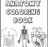 Body Coloring Human Pages Parts Getcolorings Systems sketch template