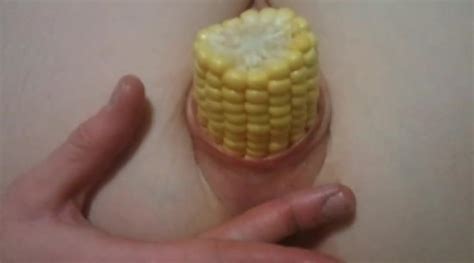 corn cob dildo or pussy quality porn