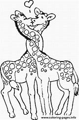 Coloring Giraffes Animal Pages Two Printable sketch template