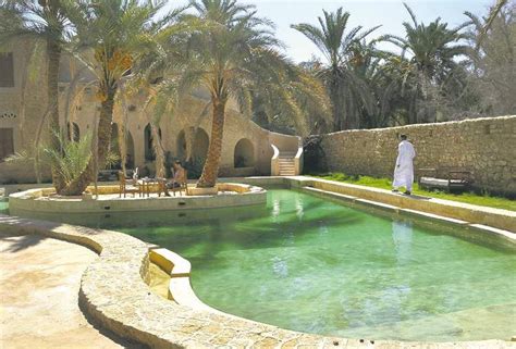 oasis in the desert swimming pool pictures pool picture