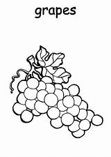 Grapes Coloring Pages Plantation Printable Smiley Color Template Colorluna sketch template
