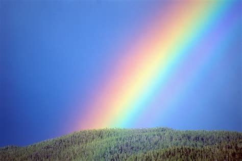enchanting heaven rainbow  friendship
