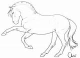 Horse Pony Coloring Pages Lineart Drawing Horses Line Deviantart sketch template