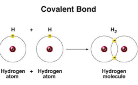 types  covalent bonds science